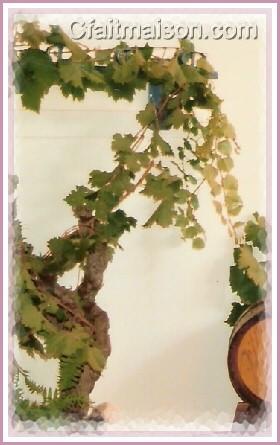 Vigne reconstitue avec un cep et des branches.