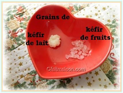 Comparaison grains de kfir de lait et de fruits