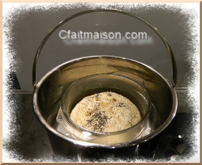Pton pour pain aux raisins au thermal cooker.